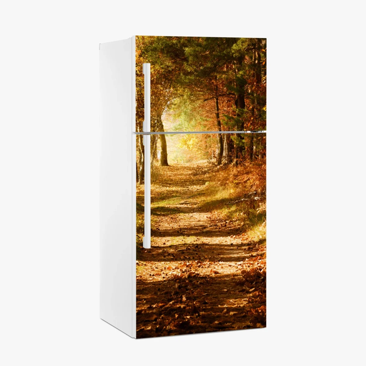 Kühlschrankaufkleber herbstlicher waldweg mit goldenem licht – Wallnifity®