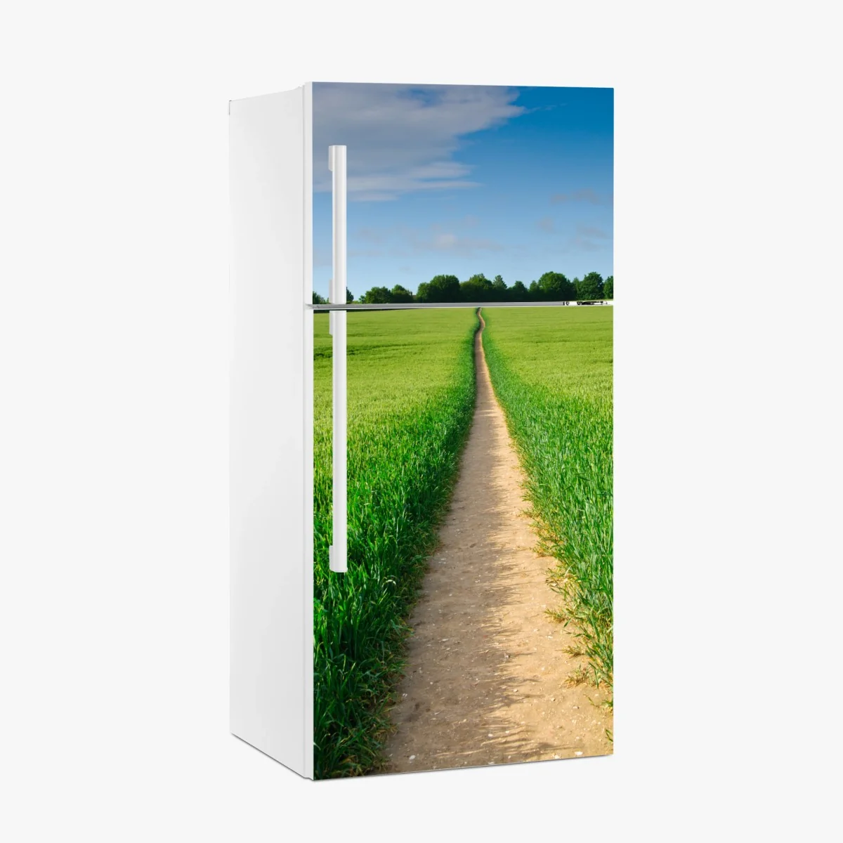 Kühlschrankaufkleber sonnenbeschienener weg durch grüne wiese – Wallnifity® Kühlschrankaufkleber sonnenbeschienener weg durch grüne wiese – Wallnifity®