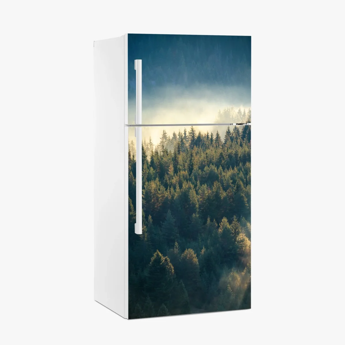 Kühlschrankaufkleber nebliger kiefernwald im morgenlicht – Wallnifity® Kühlschrankaufkleber nebliger kiefernwald im morgenlicht – Wallnifity®