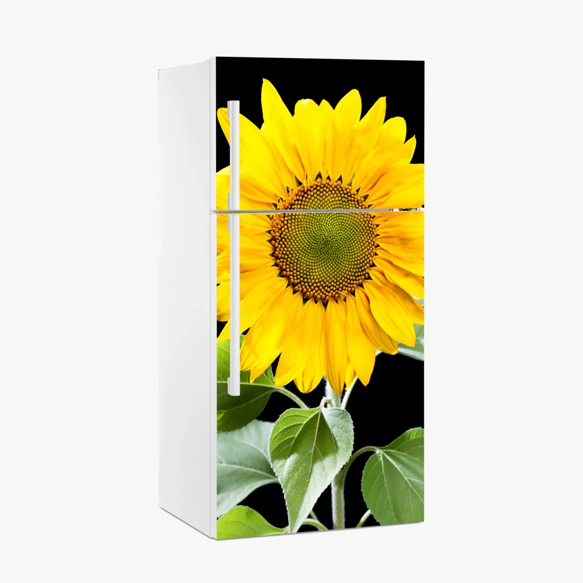 Kühlschrankaufkleber leuchtende sonnenblume vor schwarzem hintergrund – Wallnifity®