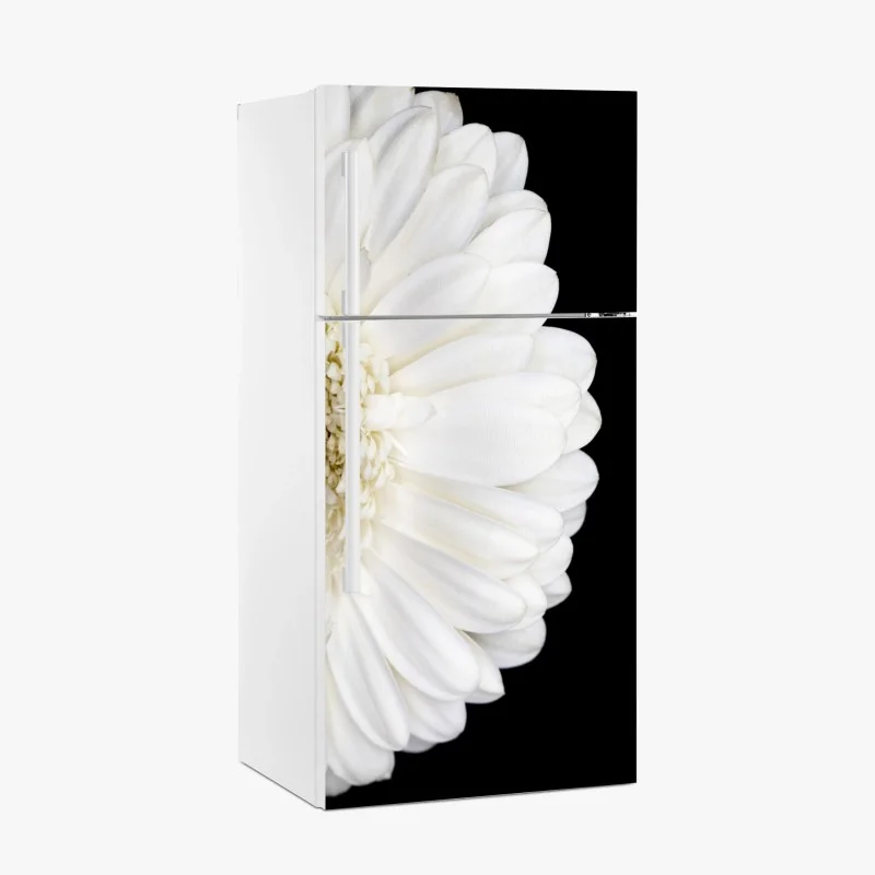 Kühlschrankaufkleber weiße gerbera auf schwarzem hintergrund minimalistische nahaufnahme