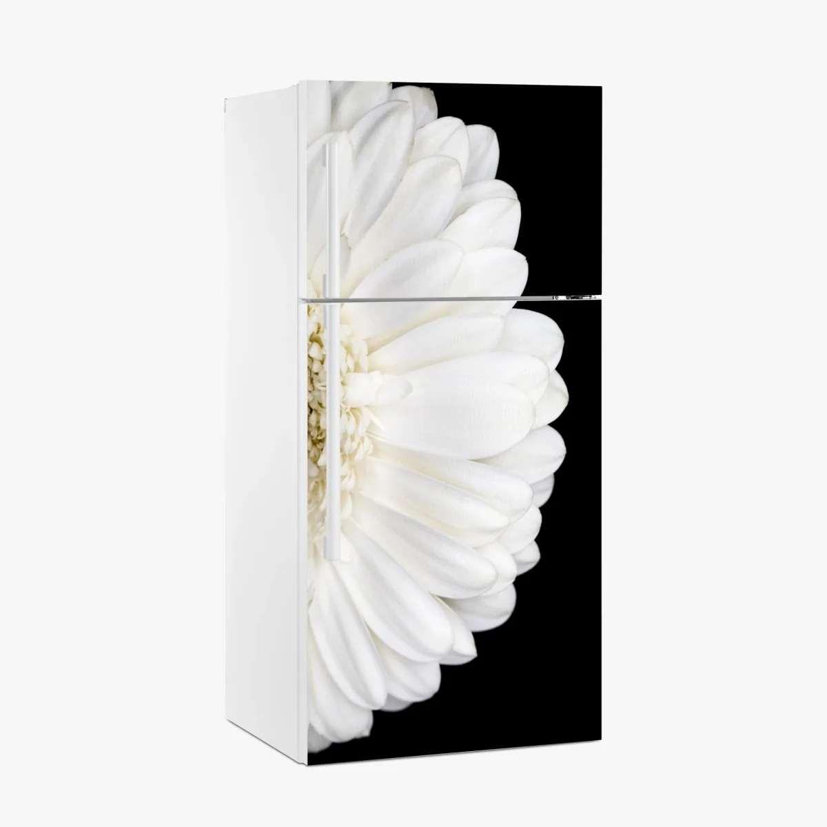 Kühlschrankaufkleber weiße gerbera auf schwarzem hintergrund minimalistische nahaufnahme – Wallnifity®