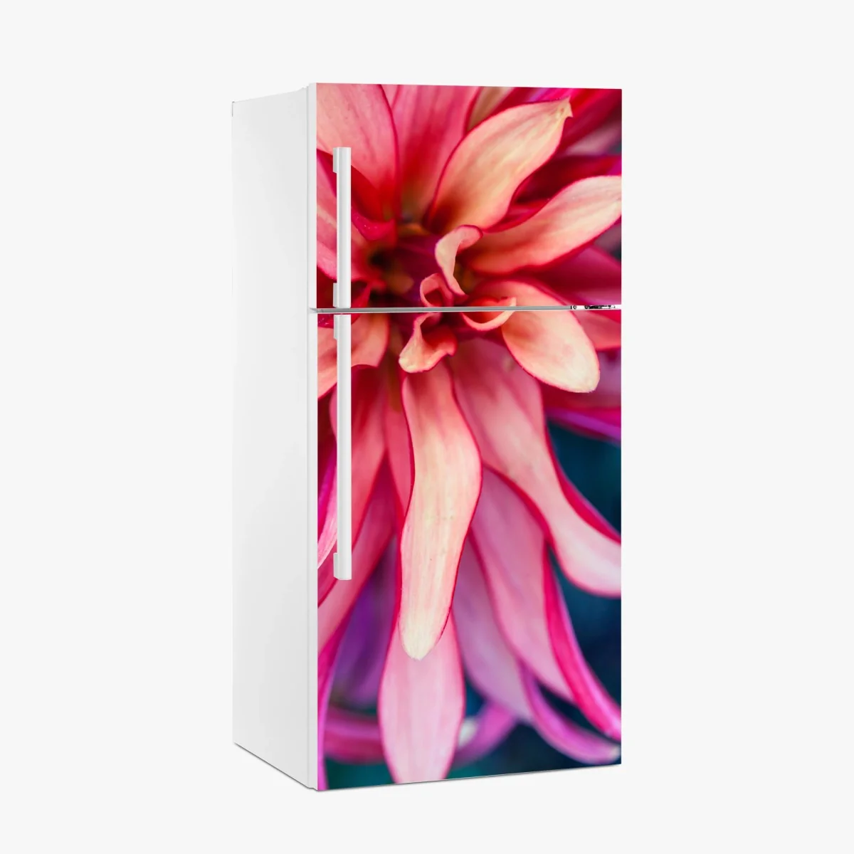 Kühlschrankaufkleber vibrantes rosa blütenmakro – Wallnifity®