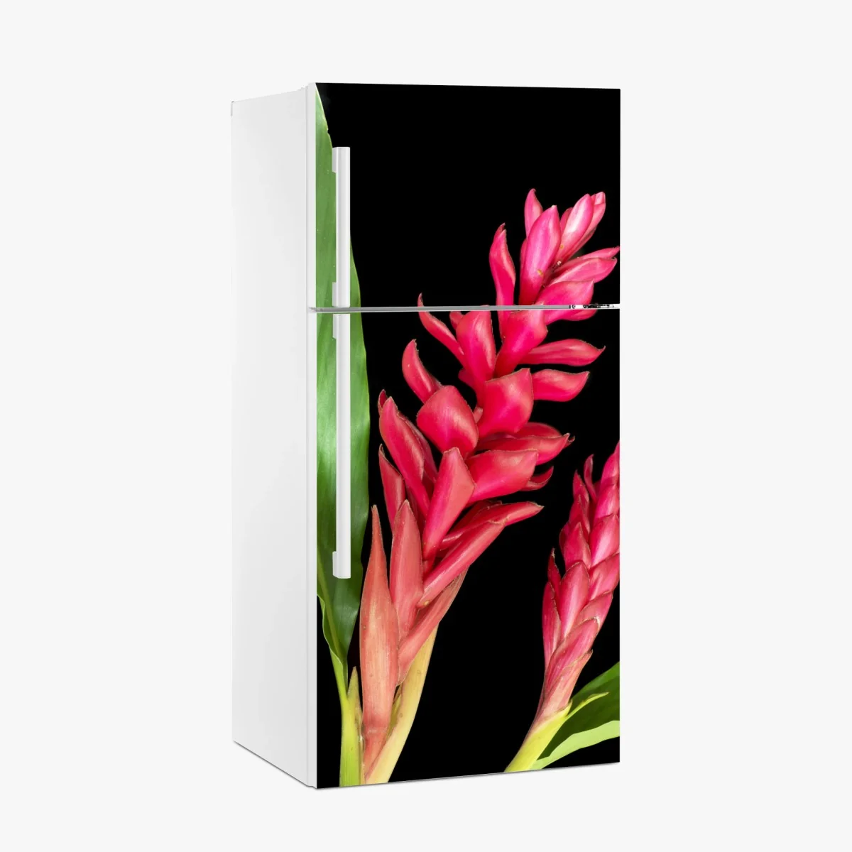 Kühlschrankaufkleber leuchtende zier-ingwer-blüte auf schwarzem hintergrund – Wallnifity® Kühlschrankaufkleber leuchtende zier-ingwer-blüte auf schwarzem hintergrund – Wallnifity®