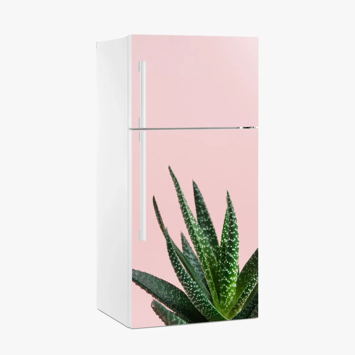 Kühlschrankaufkleber grüner aloes auf rosa hintergrund – Wallnifity®