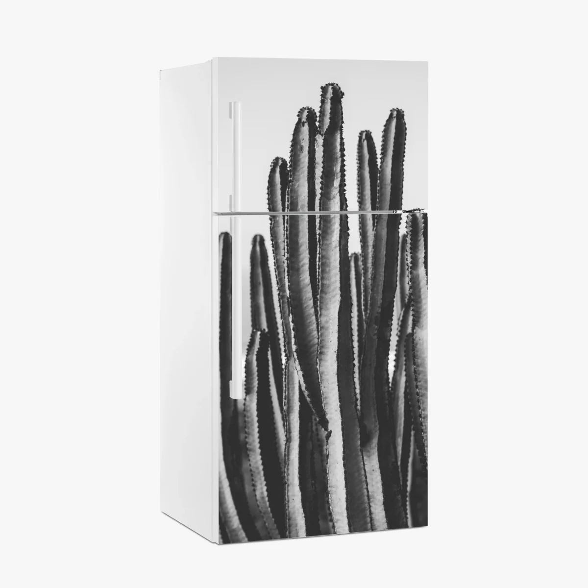 Kühlschrankaufkleber schwarzweiß kaktus nahaufnahme – Wallnifity® Kühlschrankaufkleber schwarzweiß kaktus nahaufnahme – Wallnifity®