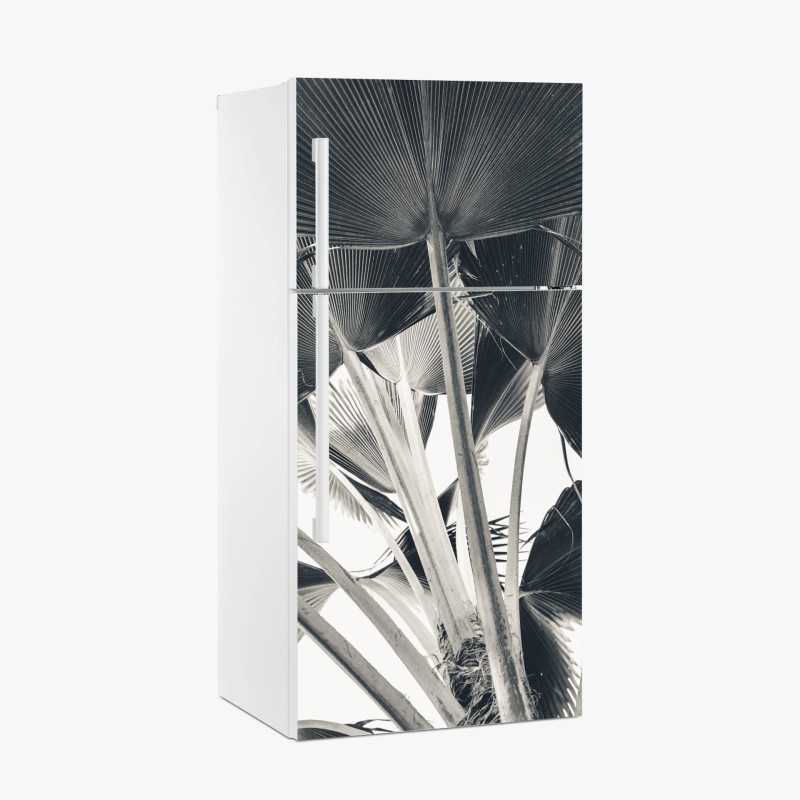 Kühlschrankaufkleber tropische komposition von bananenblättern