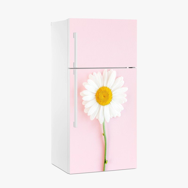 Kühlschrankaufkleber weißes gänseblümchen auf pastellrosa hintergrund