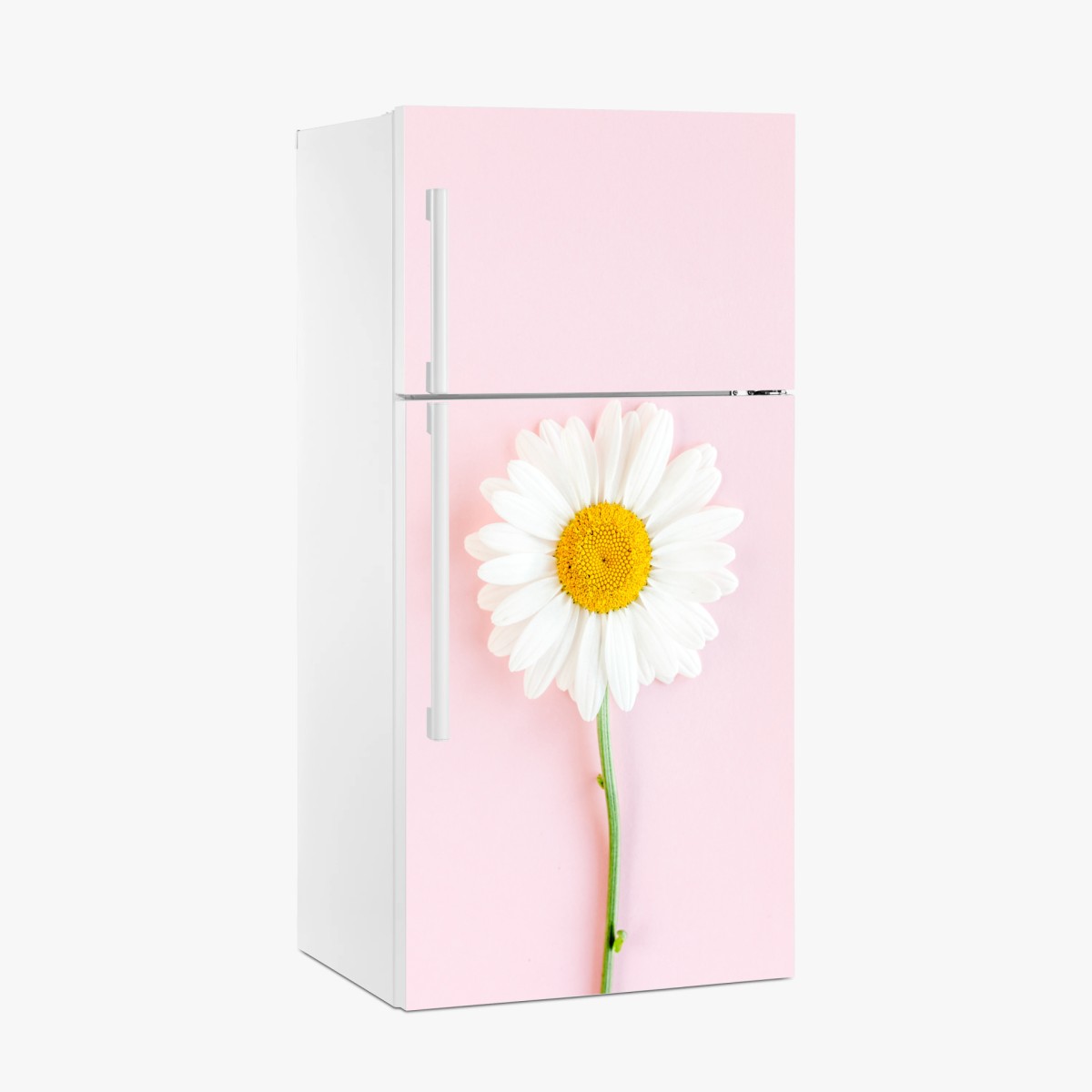 Kühlschrankaufkleber weißes gänseblümchen auf pastellrosa hintergrund – Wallnifity®