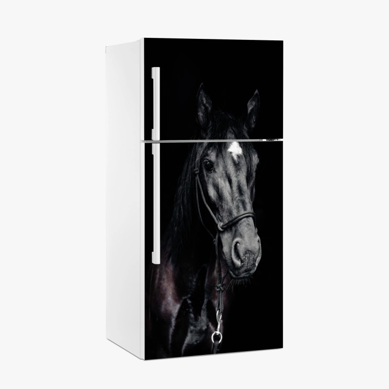 Kühlschrankaufkleber goldene rosen vor schwarzem hintergrund – Wallnifity®