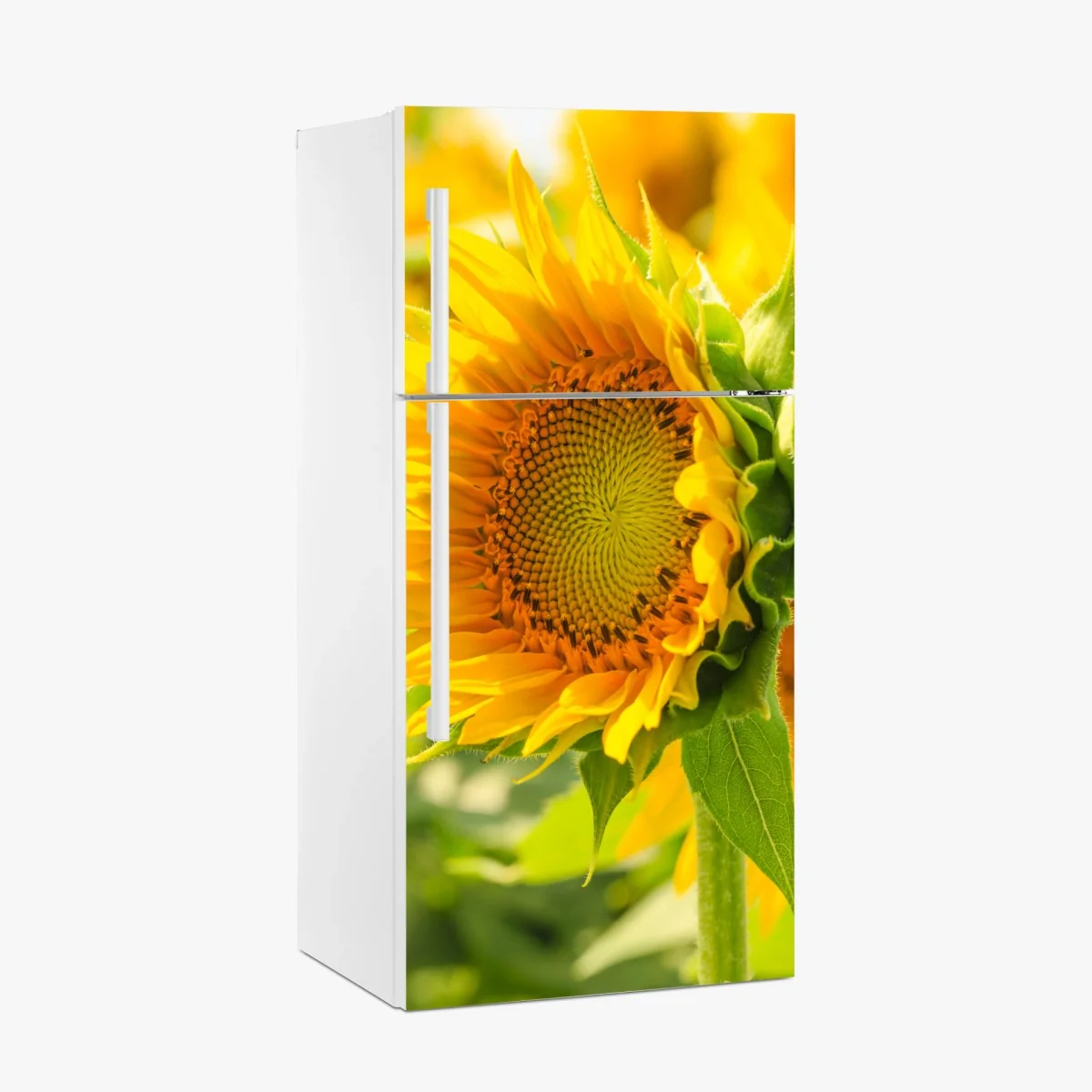 Kühlschrankaufkleber sonnenblume nahaufnahme – Wallnifity® Kühlschrankaufkleber sonnenblume nahaufnahme – Wallnifity®