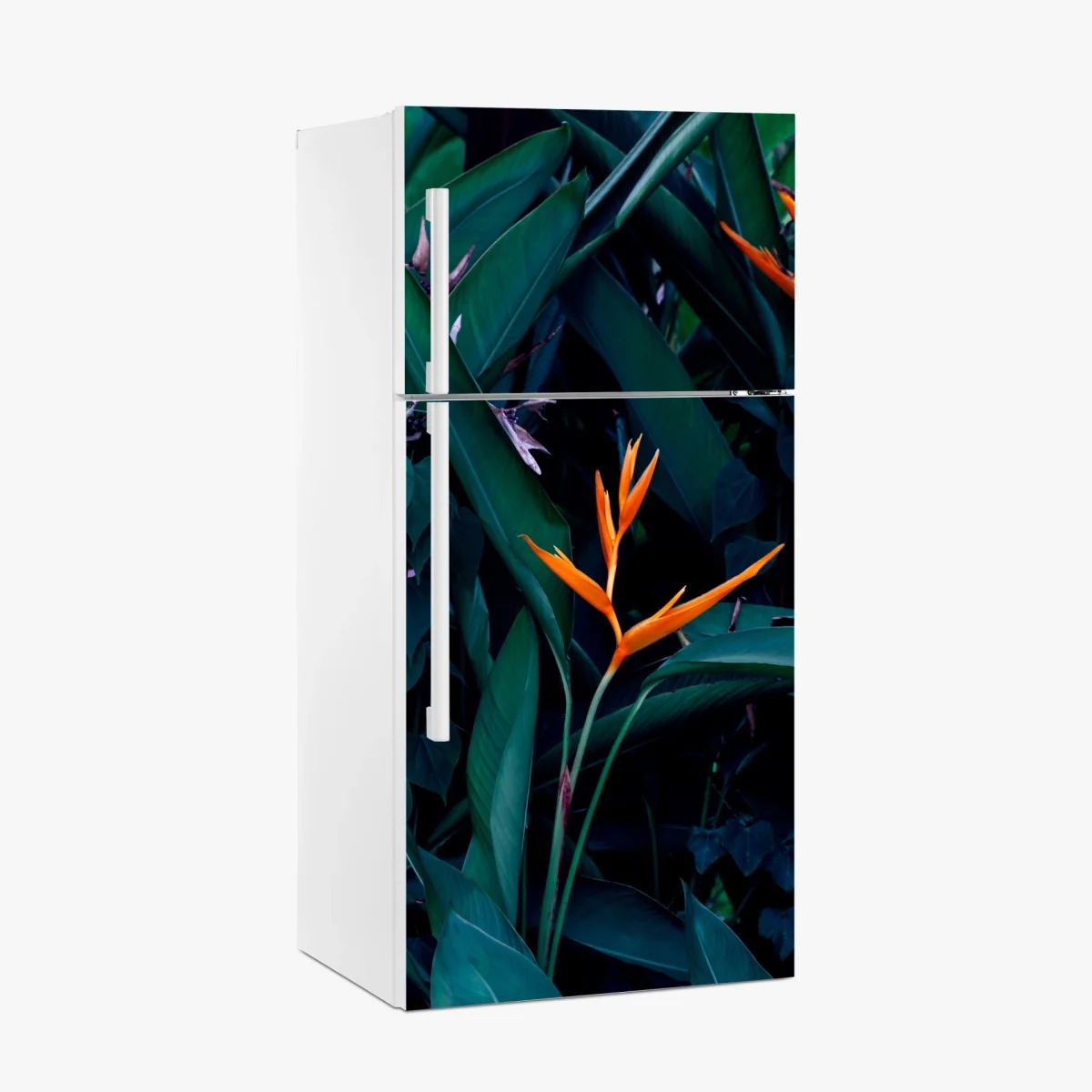 Kühlschrankaufkleber leuchtende strelitzie vor tiefgrünen blättern – Wallnifity® Kühlschrankaufkleber leuchtende strelitzie vor tiefgrünen blättern – Wallnifity®