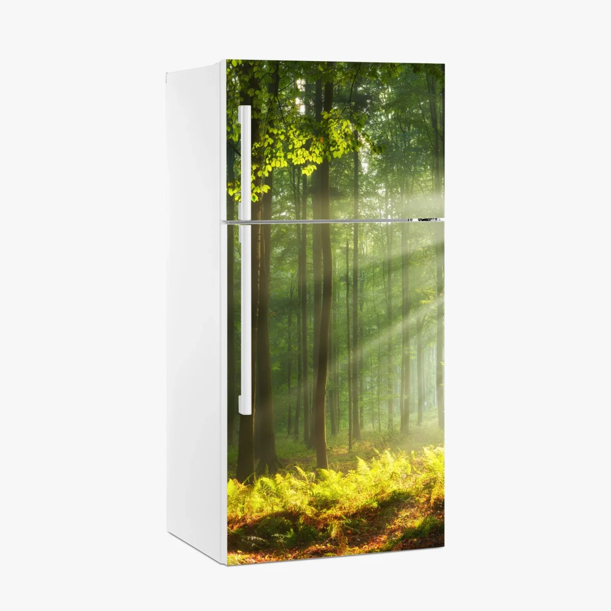 Kühlschrankaufkleber sonniger morgenwald – Wallnifity® Kühlschrankaufkleber sonniger morgenwald – Wallnifity®