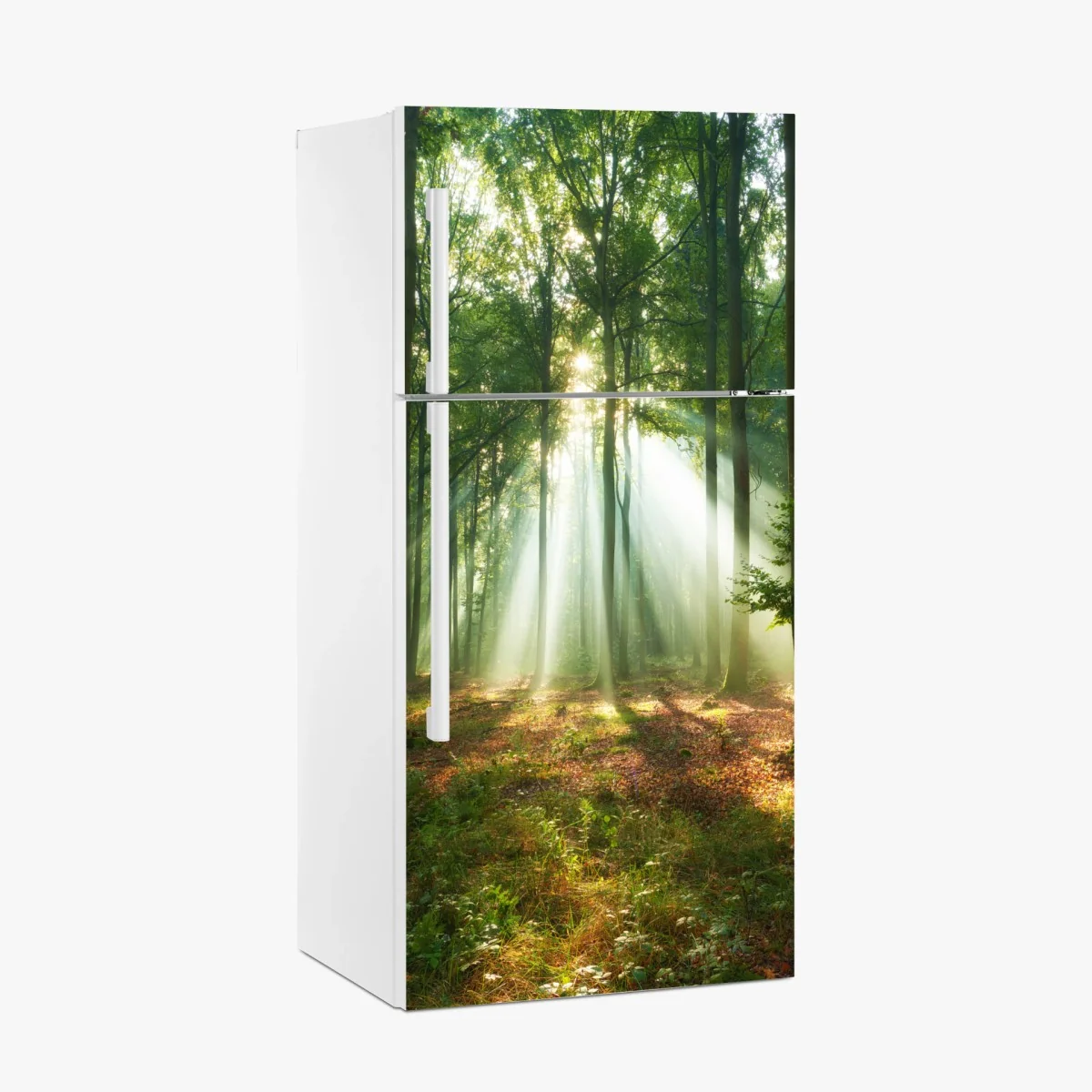 Kühlschrankaufkleber morgendliches licht im wald – Wallnifity® Kühlschrankaufkleber morgendliches licht im wald – Wallnifity®