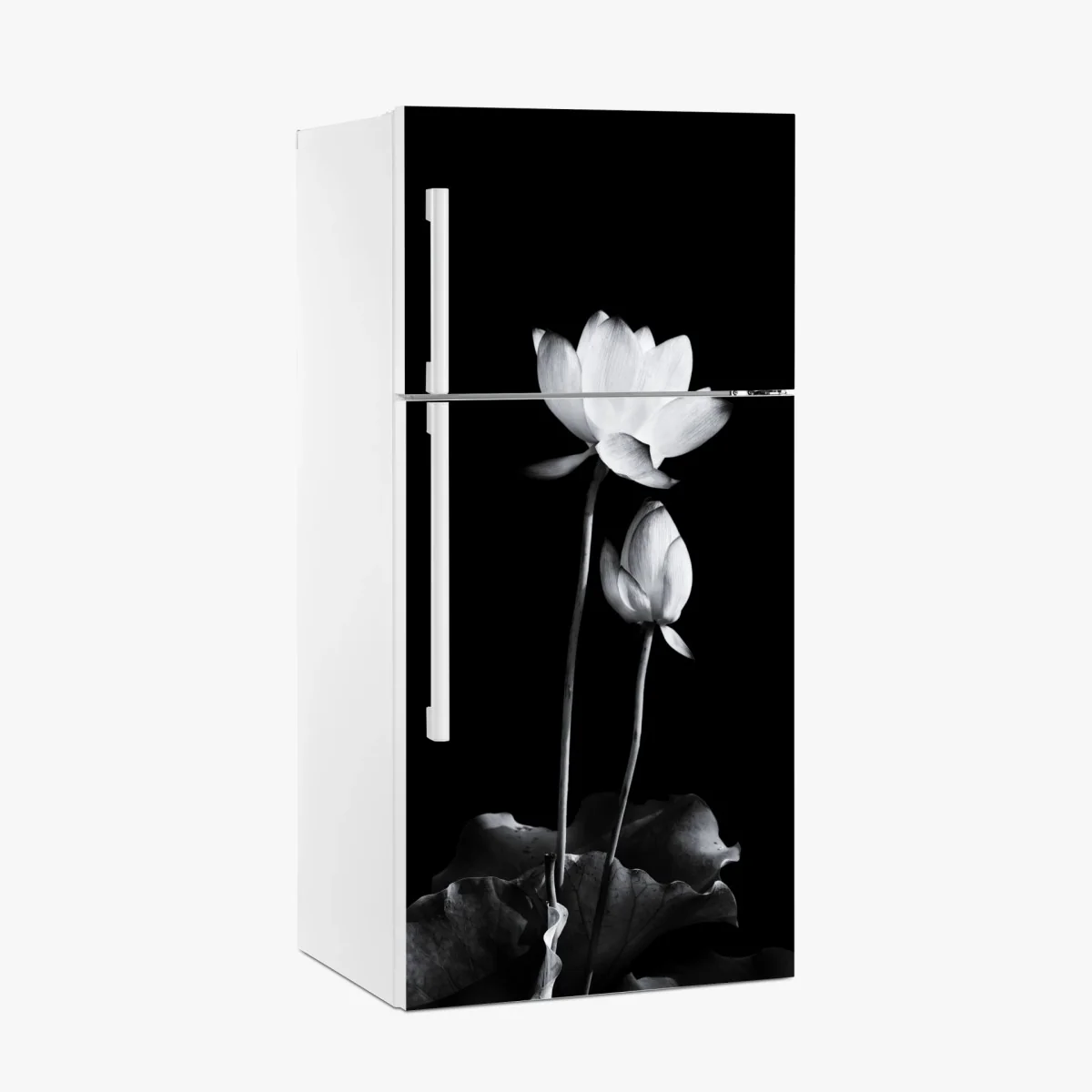 Kühlschrankaufkleber weißer lotus in monochrom – Wallnifity®