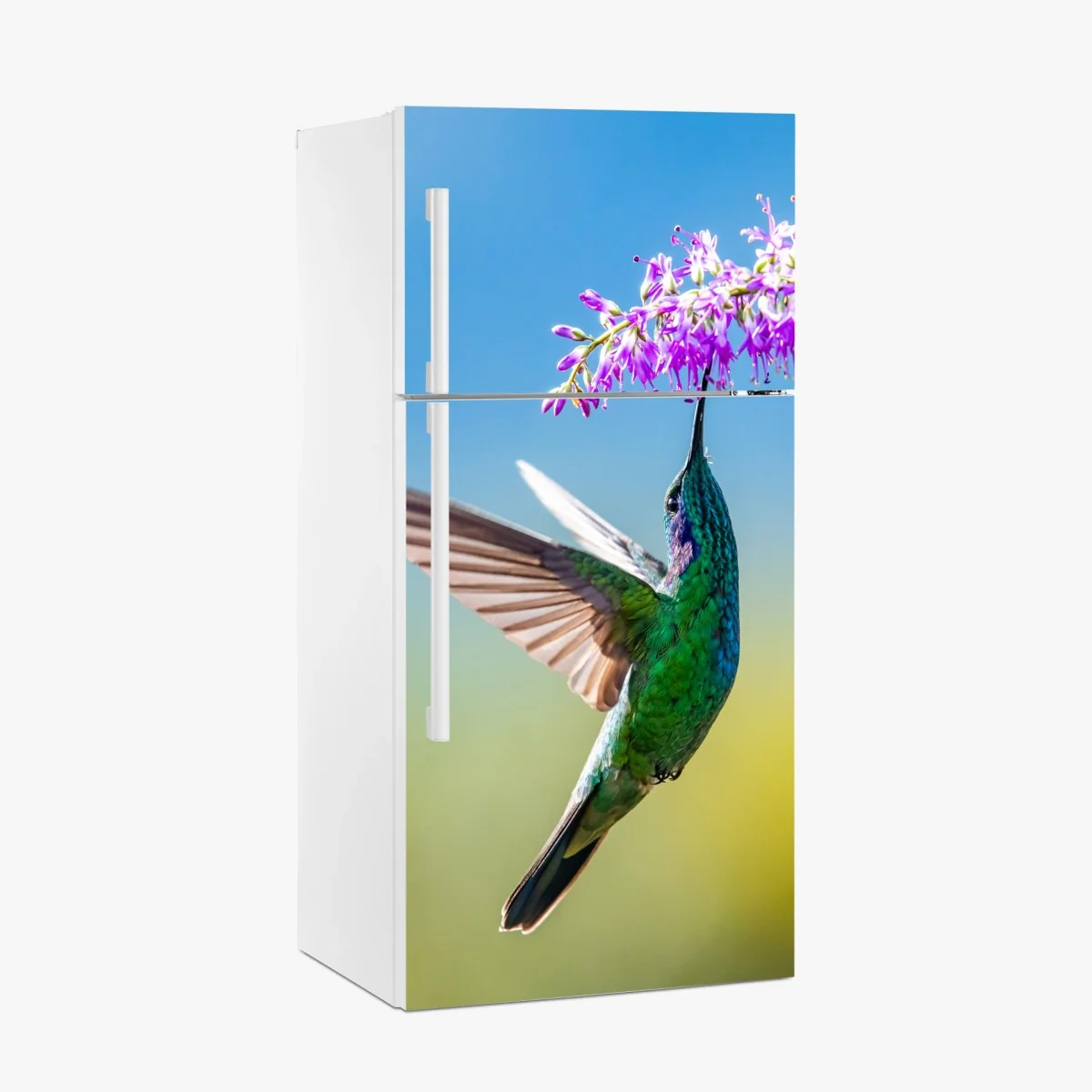 Kühlschrankaufkleber kolibri an violetter blüte – Wallnifity® Kühlschrankaufkleber kolibri an violetter blüte – Wallnifity®