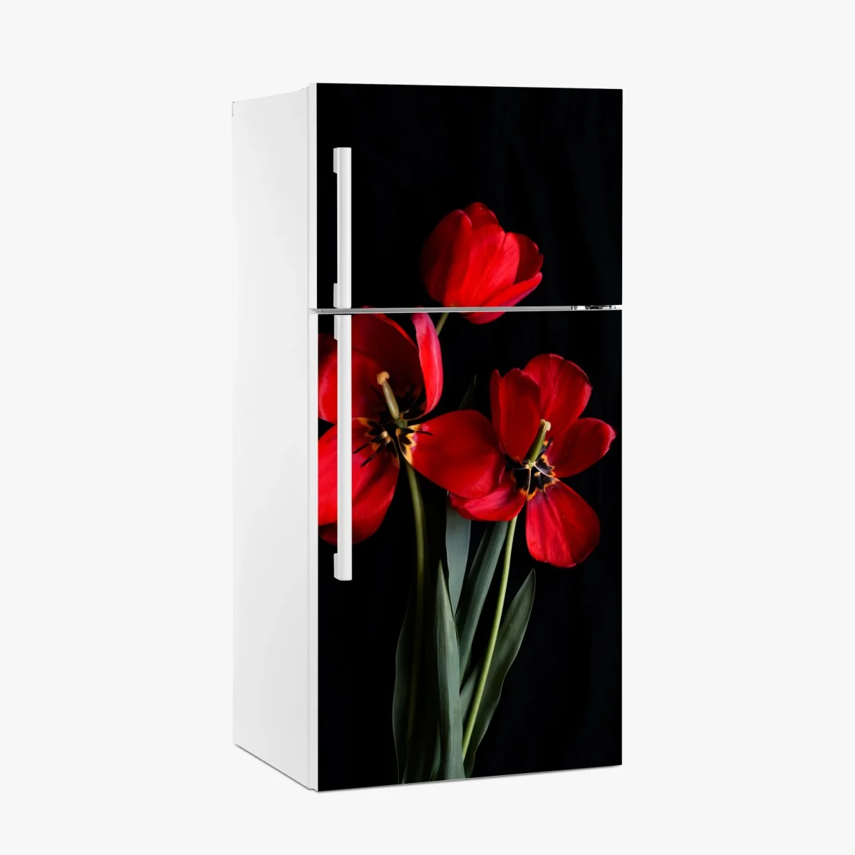 Kühlschrankaufkleber drei rote tulpen vor schwarzem hintergrund – Wallnifity®