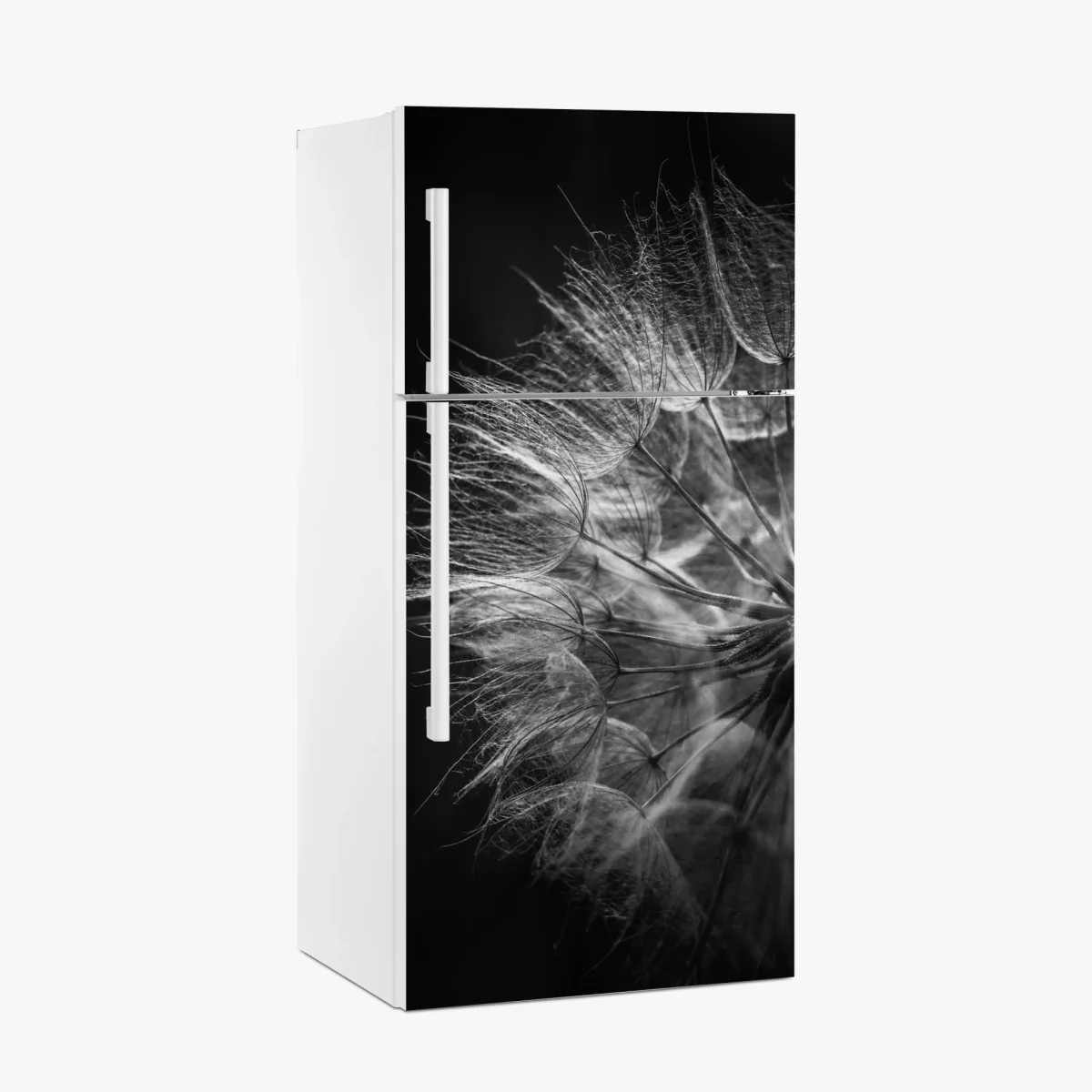 Kühlschrankaufkleber zarter löwenzahn in monochrom – Wallnifity®