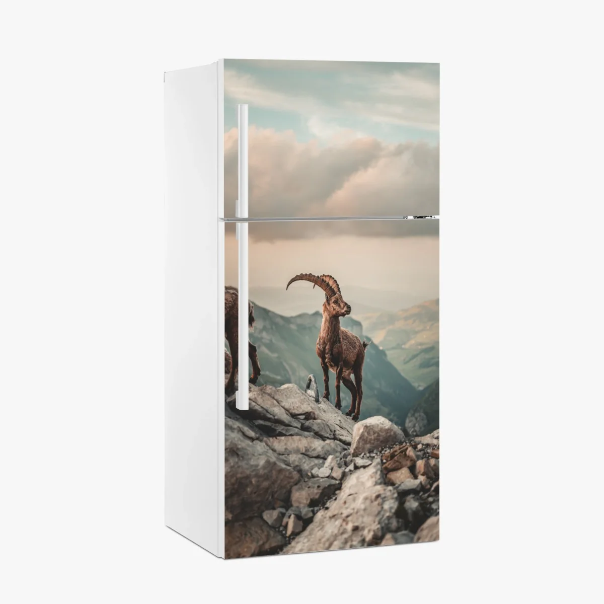 Kühlschrankaufkleber alpensteinbock auf felsigem kamm – Wallnifity®