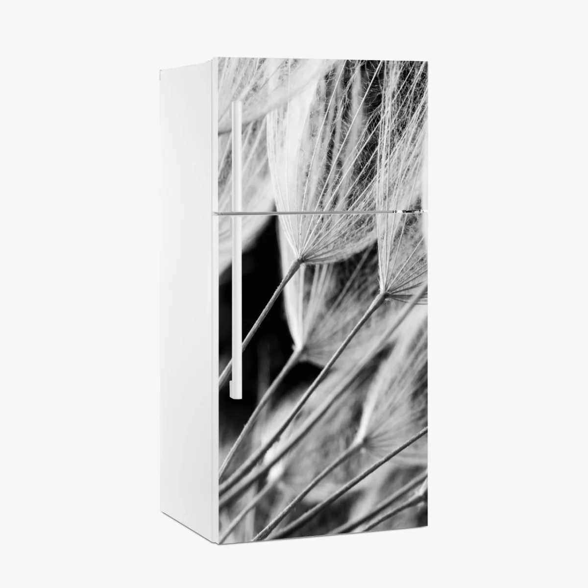 Kühlschrankaufkleber zarte nahaufnahme von löwenzahnsamen in monochrom – Wallnifity® Kühlschrankaufkleber zarte nahaufnahme von löwenzahnsamen in monochrom – Wallnifity®