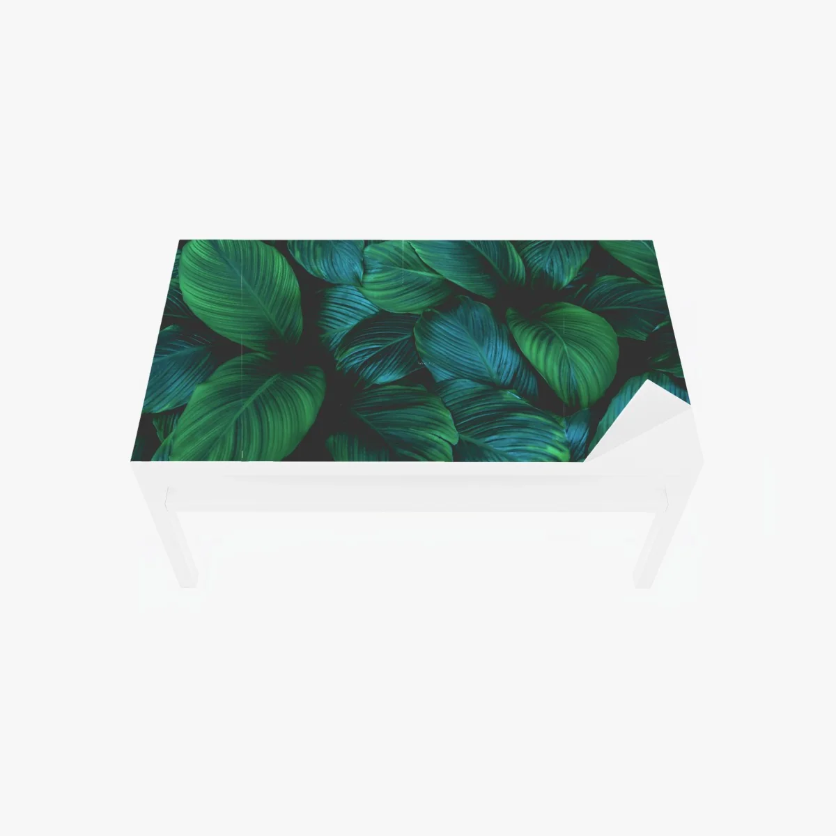 Tischaufkleber und Schreibtischaufkleber üppige tropische blätter – Wallnifity® Tischaufkleber und Schreibtischaufkleber üppige tropische blätter – Wallnifity®