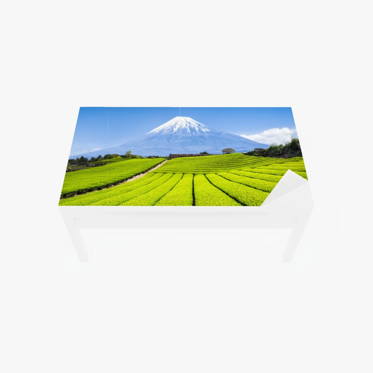Tischaufkleber und Schreibtischaufkleber üppige teefelder am fuß von Mount Fuji – Wallnifity®