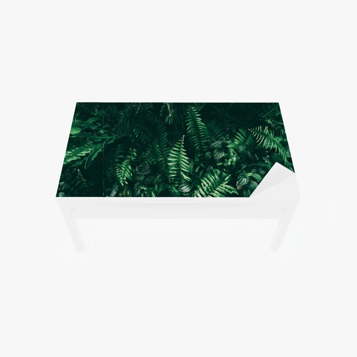 Tischaufkleber und Schreibtischaufkleber üppige tropische grüne blätter – Wallnifity® Tischaufkleber und Schreibtischaufkleber üppige tropische grüne blätter – Wallnifity®