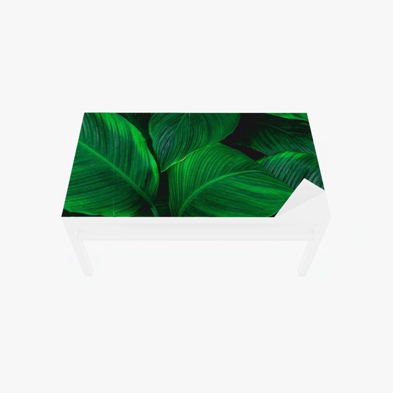 Tischaufkleber und Schreibtischaufkleber rosa aquarellblumen auf schwarzem hintergrund – Wallnifity®