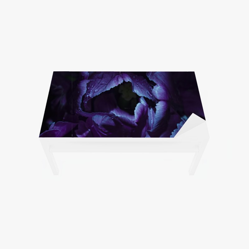 Tischaufkleber und Schreibtischaufkleber lila tulpe im ultravioletten licht