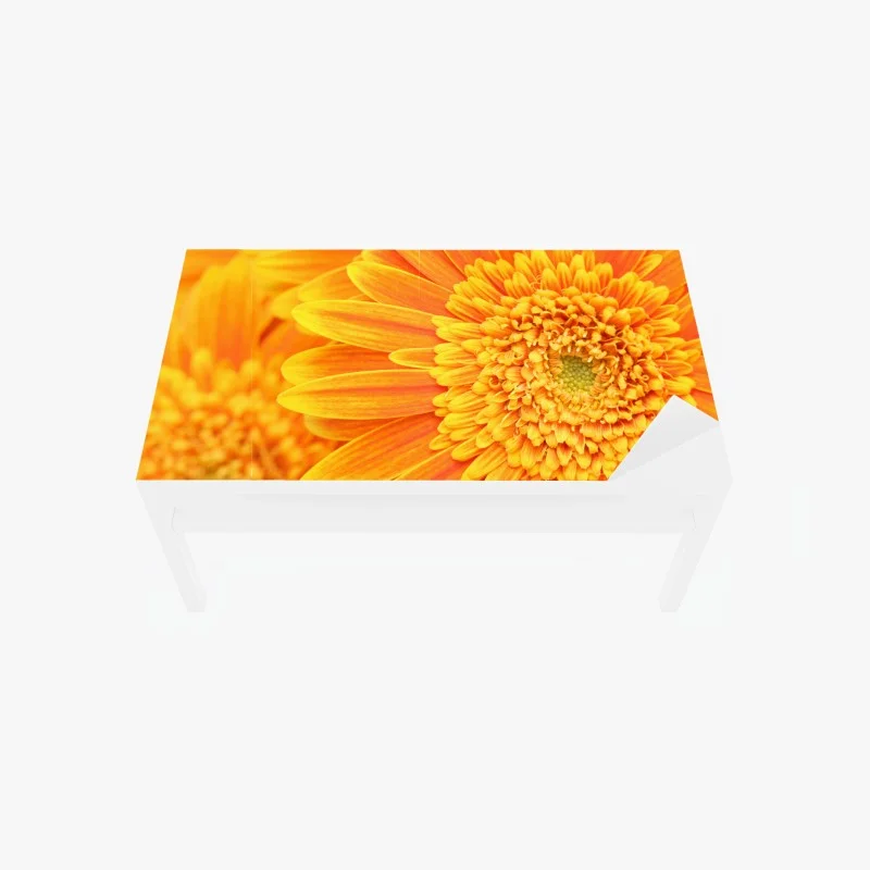 Tischaufkleber und Schreibtischaufkleber leuchtende orange gerbera in makro
