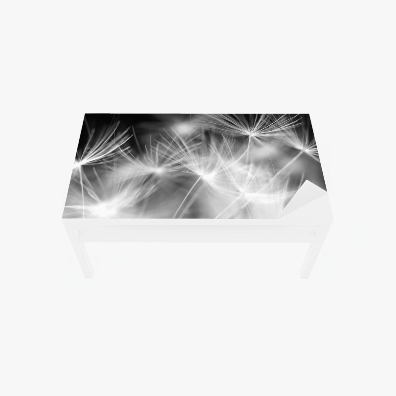 Tischaufkleber und Schreibtischaufkleber zarte löwenzahnsamen in monochrom