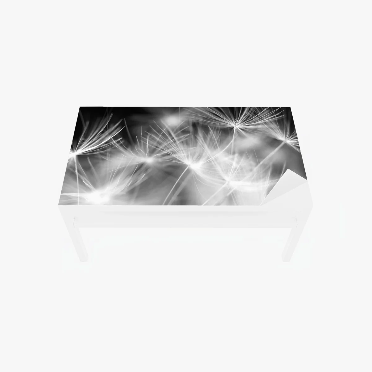 Tischaufkleber und Schreibtischaufkleber zarte löwenzahnsamen in monochrom – Wallnifity® Tischaufkleber und Schreibtischaufkleber zarte löwenzahnsamen in monochrom – Wallnifity®