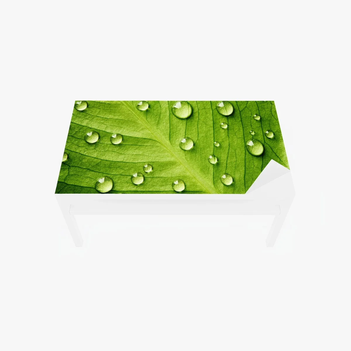Tischaufkleber und Schreibtischaufkleber frisches grünes blatt mit wassertropfen – Wallnifity® Tischaufkleber und Schreibtischaufkleber frisches grünes blatt mit wassertropfen – Wallnifity®