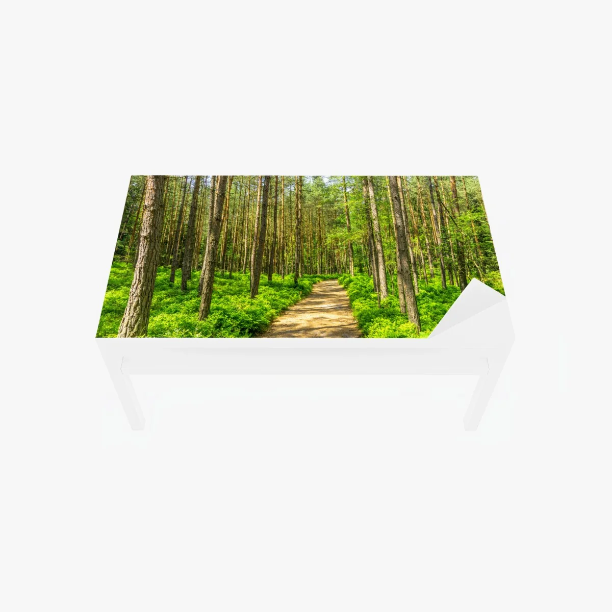 Tischaufkleber und Schreibtischaufkleber sonniger waldweg zwischen kiefern – Wallnifity® Tischaufkleber und Schreibtischaufkleber sonniger waldweg zwischen kiefern – Wallnifity®