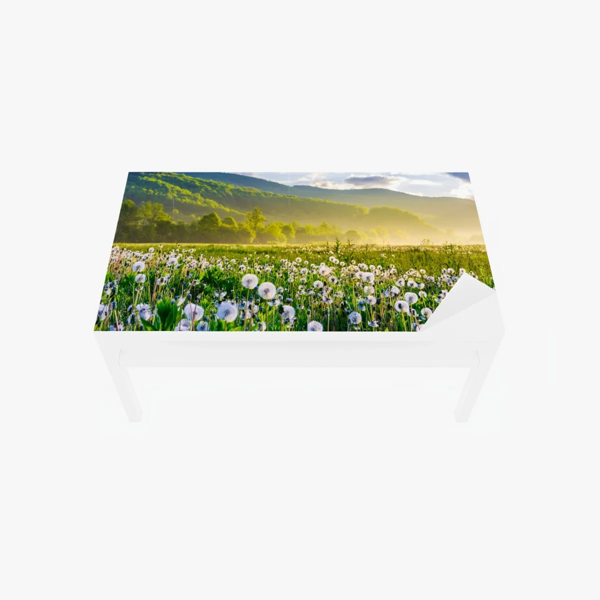 Tischaufkleber und Schreibtischaufkleber neblige löwenzahnwiese im sonnenaufgang – Wallnifity® Tischaufkleber und Schreibtischaufkleber neblige löwenzahnwiese im sonnenaufgang – Wallnifity®