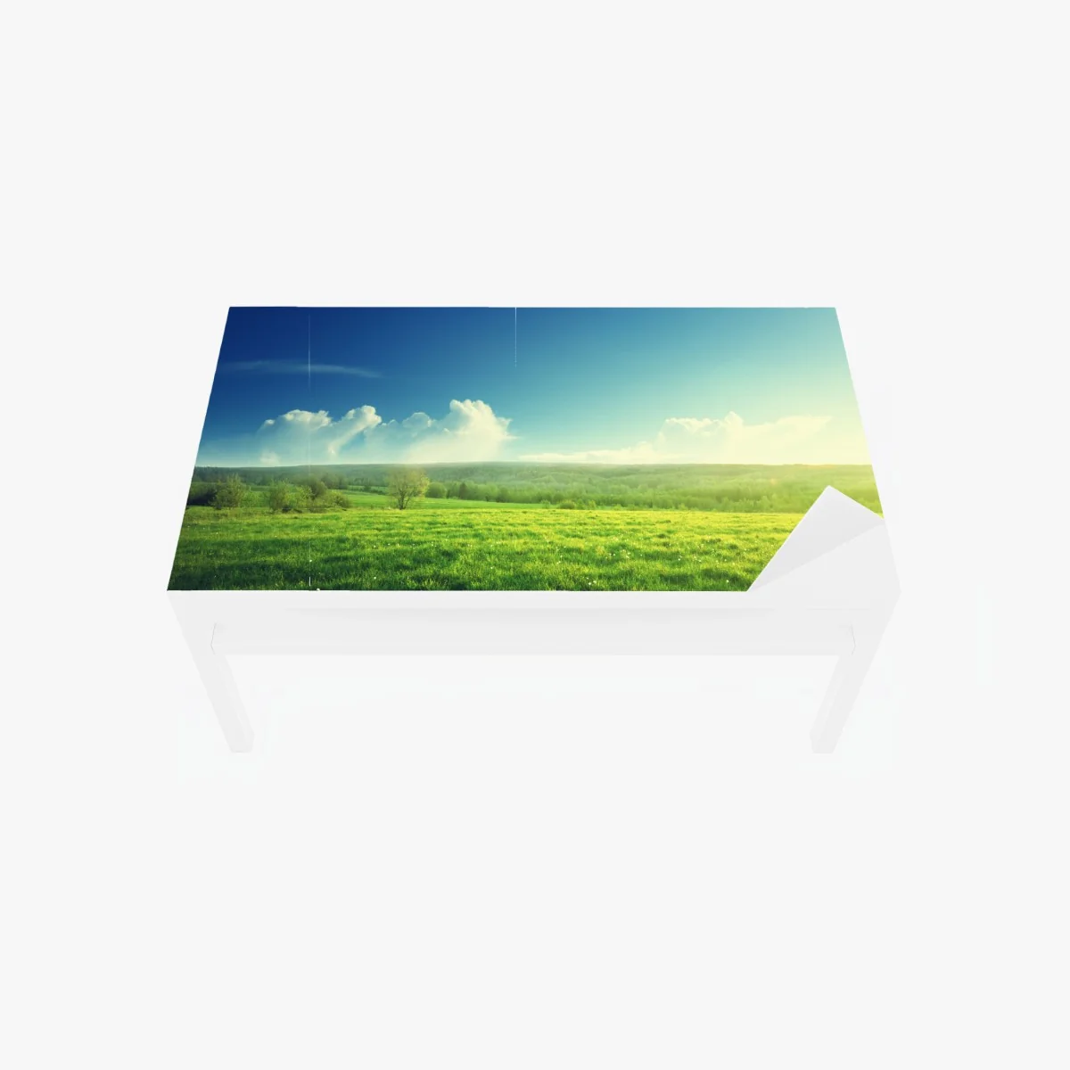 Tischaufkleber und Schreibtischaufkleber sonnige frühlingswiese im abendlicht – Wallnifity® Tischaufkleber und Schreibtischaufkleber sonnige frühlingswiese im abendlicht – Wallnifity®