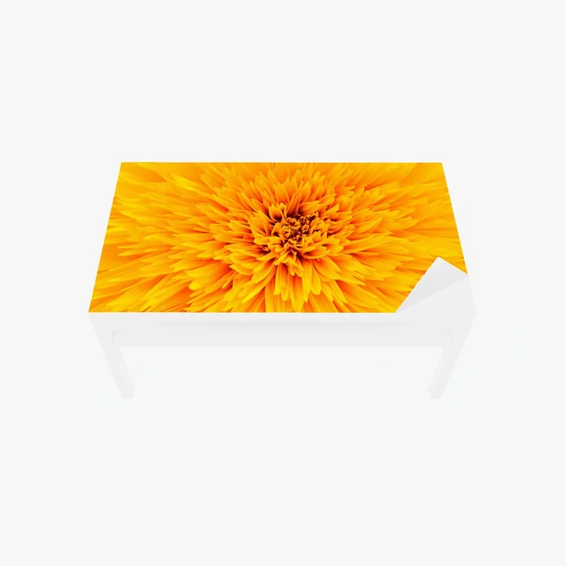 Tischaufkleber und Schreibtischaufkleber strahlende sonnenblume nahaufnahme