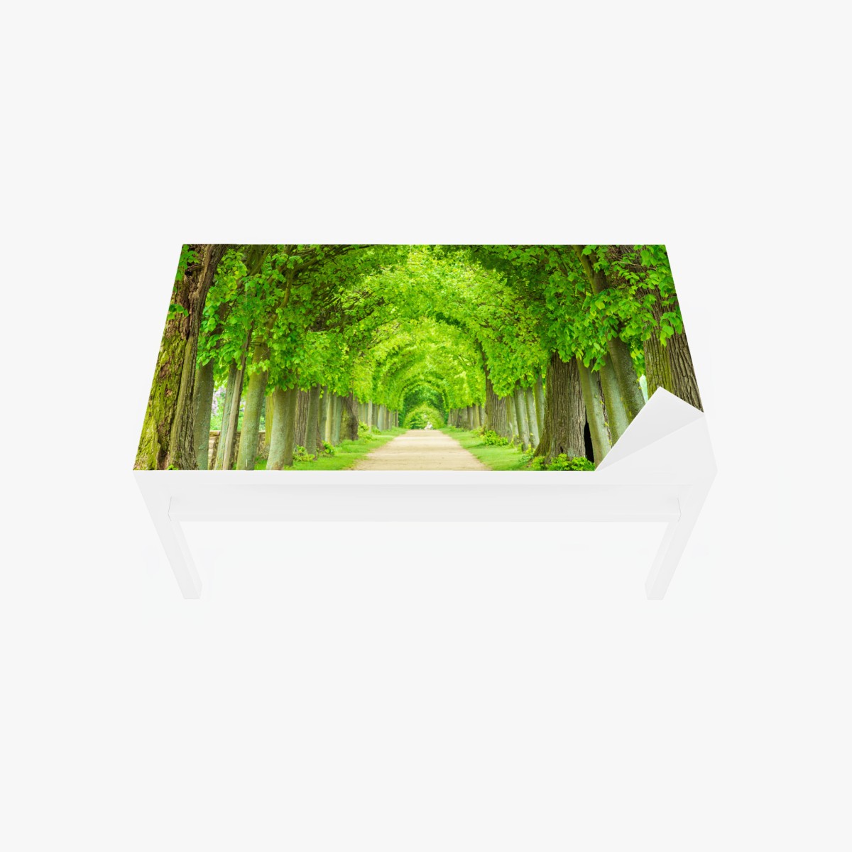 Tischaufkleber und Schreibtischaufkleber grüner baumtunnel – Wallnifity®