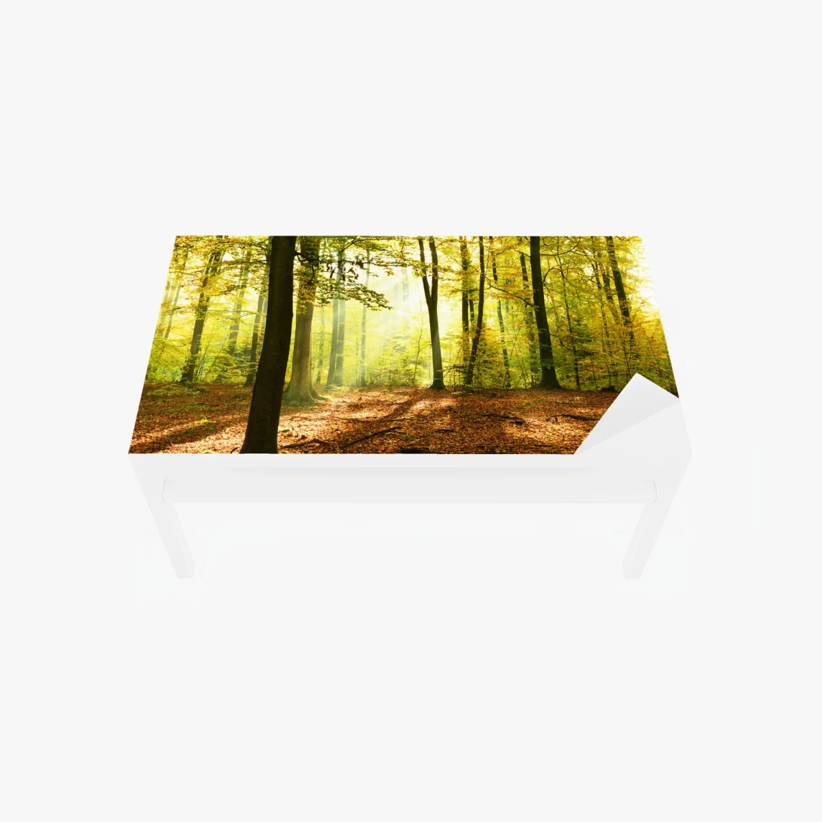 Tischaufkleber und Schreibtischaufkleber goldener herbstwald am morgen – Wallnifity® Tischaufkleber und Schreibtischaufkleber goldener herbstwald am morgen – Wallnifity®