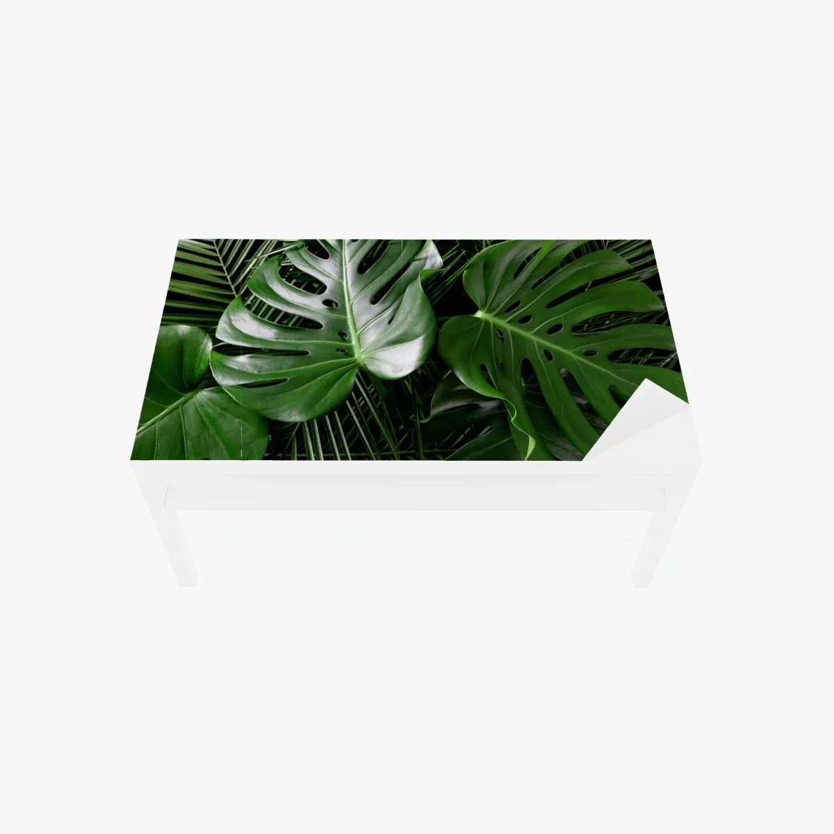 Tischaufkleber und Schreibtischaufkleber üppige monstera-blätter – Wallnifity® Tischaufkleber und Schreibtischaufkleber üppige monstera-blätter – Wallnifity®