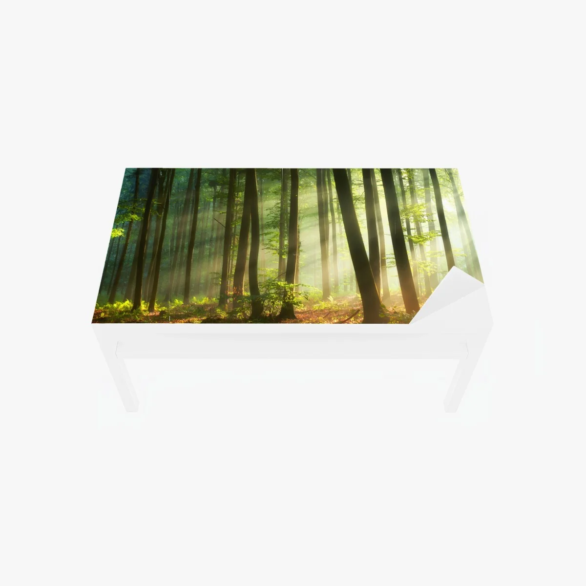 Tischaufkleber und Schreibtischaufkleber sonnenbeschienener morgenwald – Wallnifity® Tischaufkleber und Schreibtischaufkleber sonnenbeschienener morgenwald – Wallnifity®