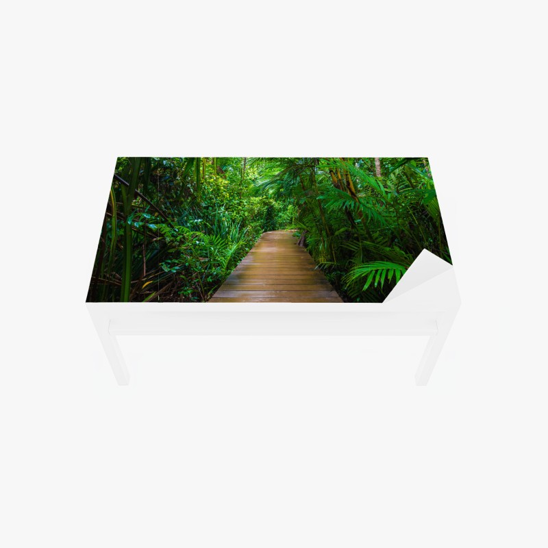 Tischaufkleber und Schreibtischaufkleber mangrovensteg durch üppigen grünen dschungel