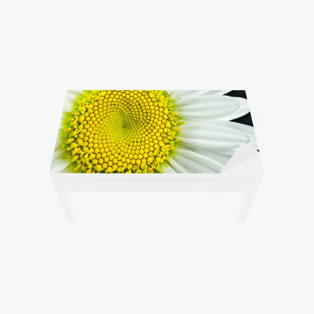 Tischaufkleber und Schreibtischaufkleber makro gänseblümchen spiralmuster – Wallnifity® Tischaufkleber und Schreibtischaufkleber makro gänseblümchen spiralmuster – Wallnifity®