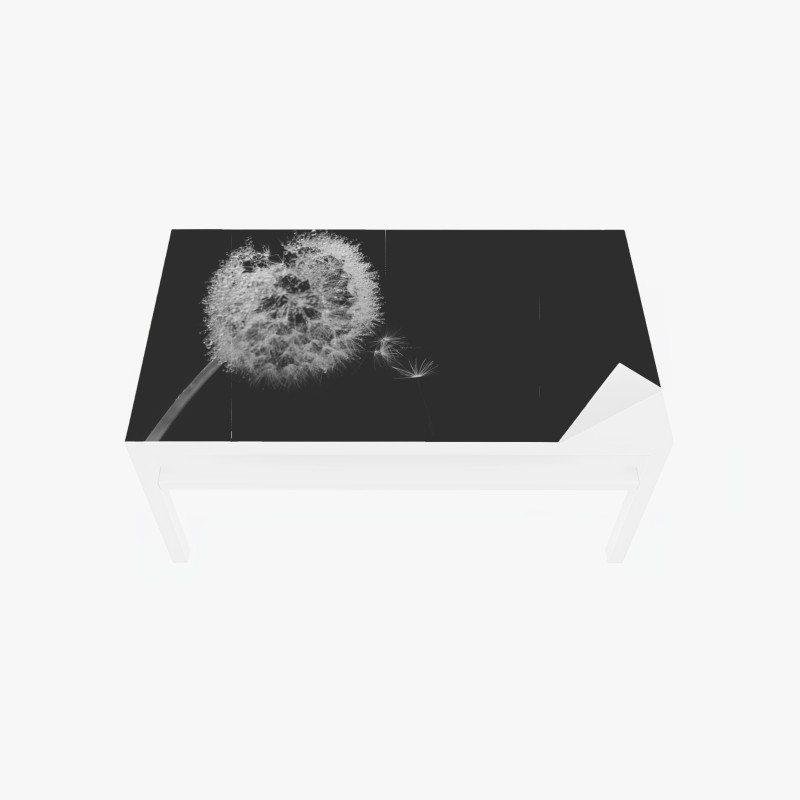 Tischaufkleber und Schreibtischaufkleber zarter löwenzahn in monochrom