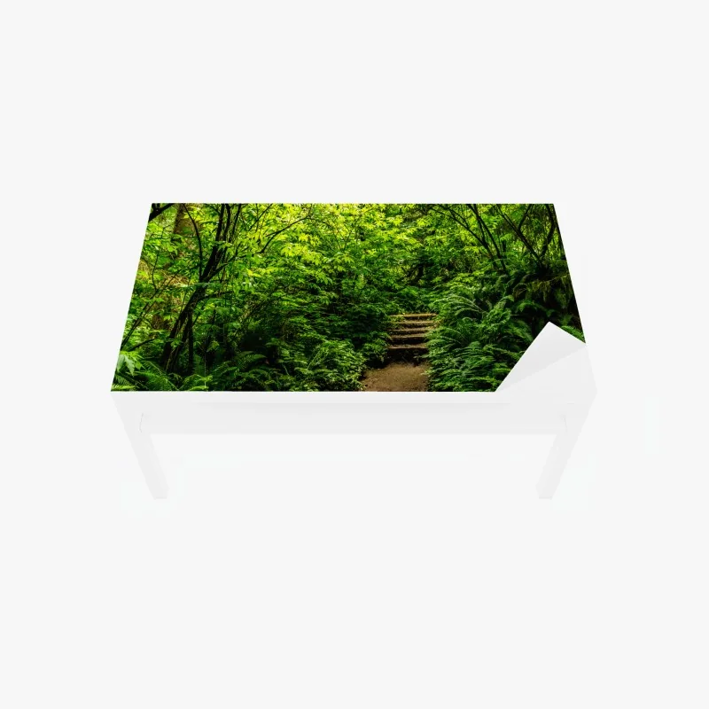 Tischaufkleber und Schreibtischaufkleber üppiger waldpfad