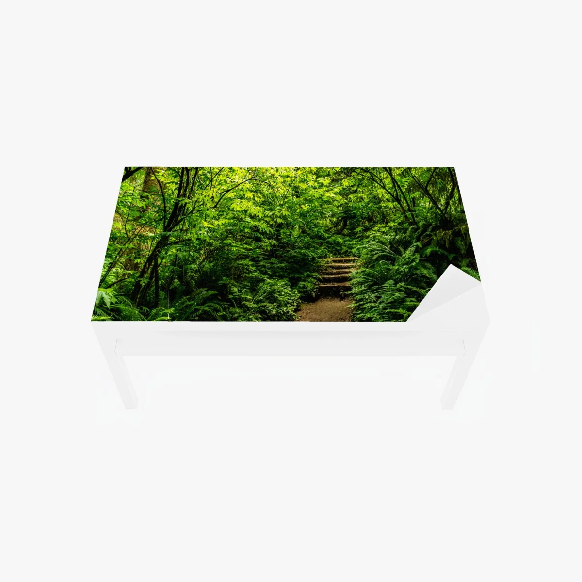 Tischaufkleber und Schreibtischaufkleber üppiger waldpfad – Wallnifity® Tischaufkleber und Schreibtischaufkleber üppiger waldpfad – Wallnifity®