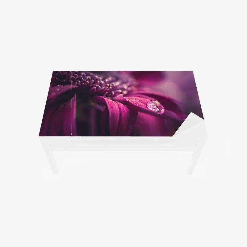 Tischaufkleber und Schreibtischaufkleber lila makroblüte mit tautropfen