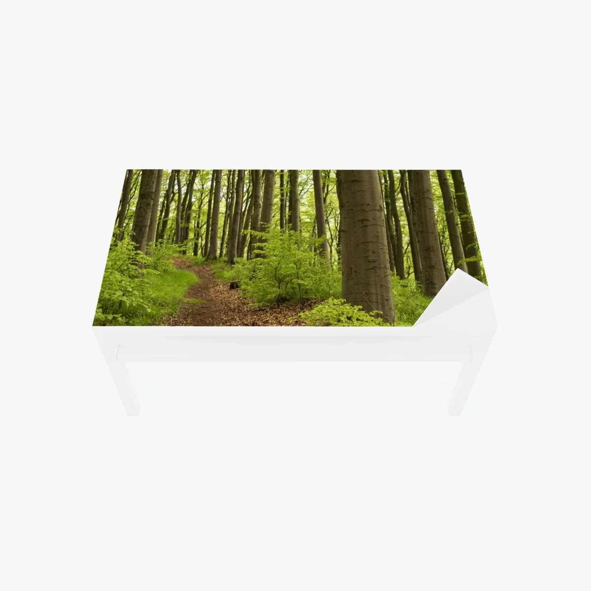 Tischaufkleber und Schreibtischaufkleber ruhiger grüner waldweg – Wallnifity® Tischaufkleber und Schreibtischaufkleber ruhiger grüner waldweg – Wallnifity®