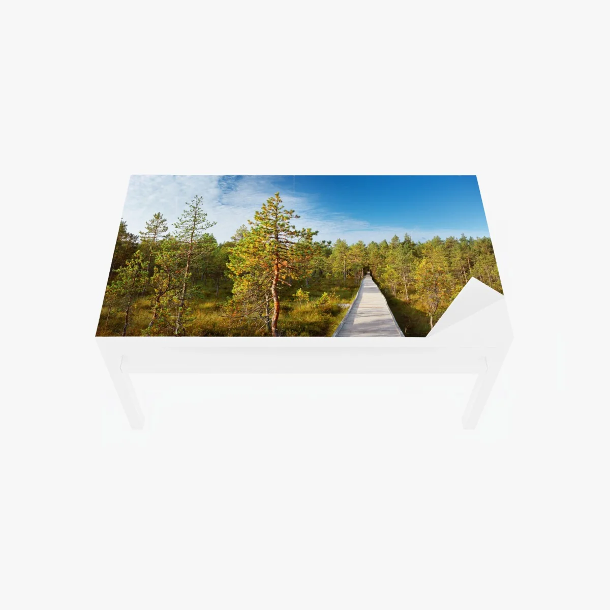 Tischaufkleber und Schreibtischaufkleber sonniger steg durch den kiefernwald – Wallnifity® Tischaufkleber und Schreibtischaufkleber sonniger steg durch den kiefernwald – Wallnifity®