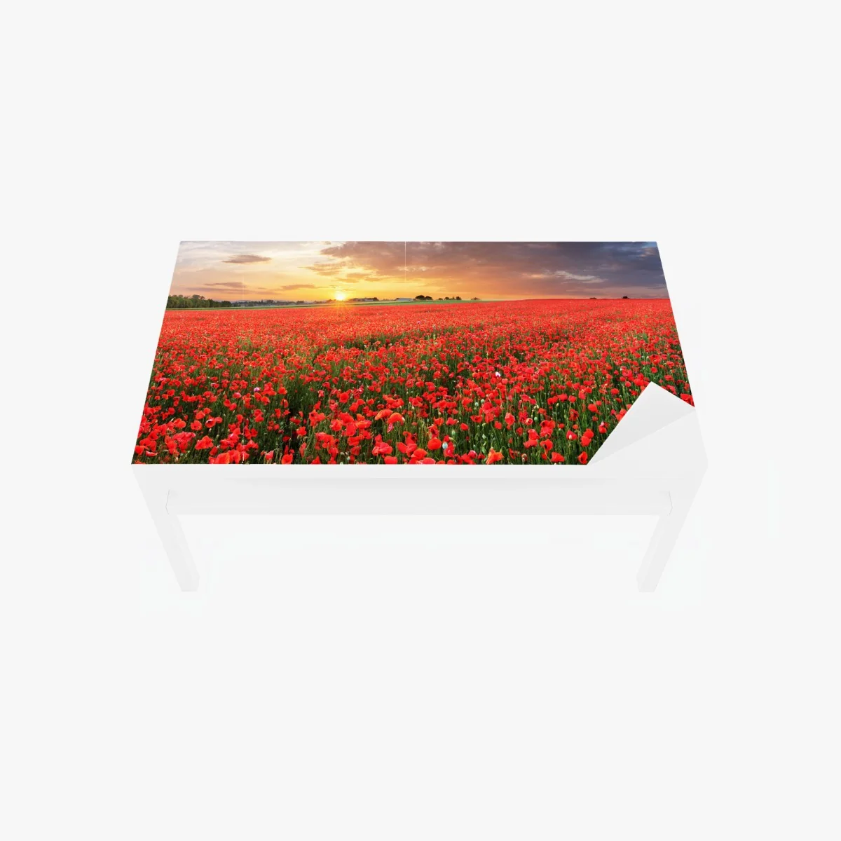 Tischaufkleber und Schreibtischaufkleber mohnfeld im sonnenuntergang – Wallnifity® Tischaufkleber und Schreibtischaufkleber mohnfeld im sonnenuntergang – Wallnifity®